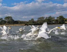 Экологическая привлекательность повышает экономическую стоимость регионов