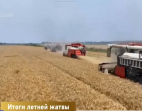 Новый урожай: производство зерновых в Китае остаётся стабильным