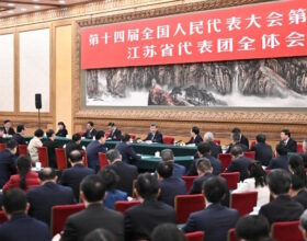 Си Цзиньпин принял участие в панельной дискуссии на ежегодной сессии ВСНП