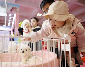 ИИ преобразил индустрию домашних животных в Китае